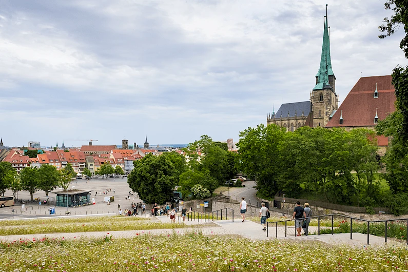 Panoramic Walk Petersberghang, Erfurt 1