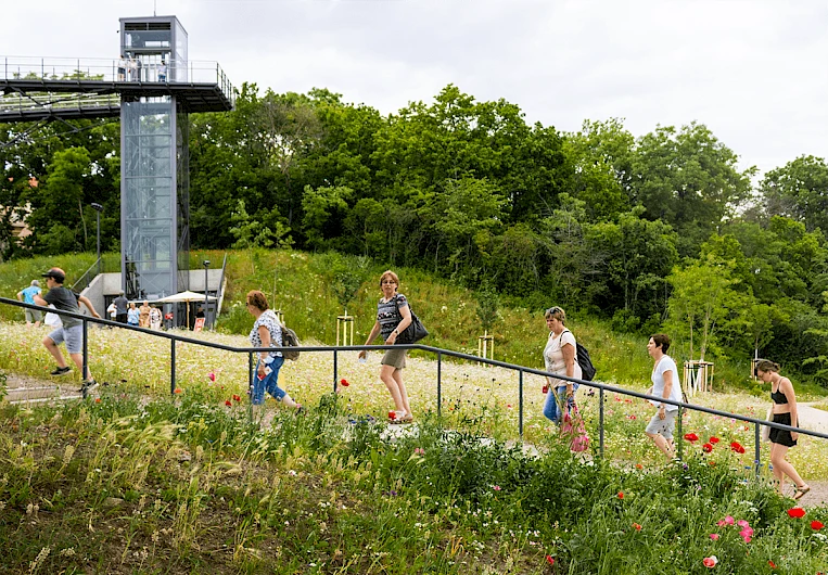 Panoramic Walk Petersberghang, Erfurt 13