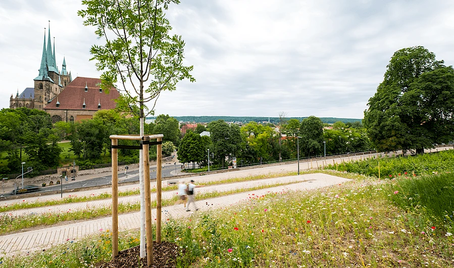Panoramic Walk Petersberghang, Erfurt 8