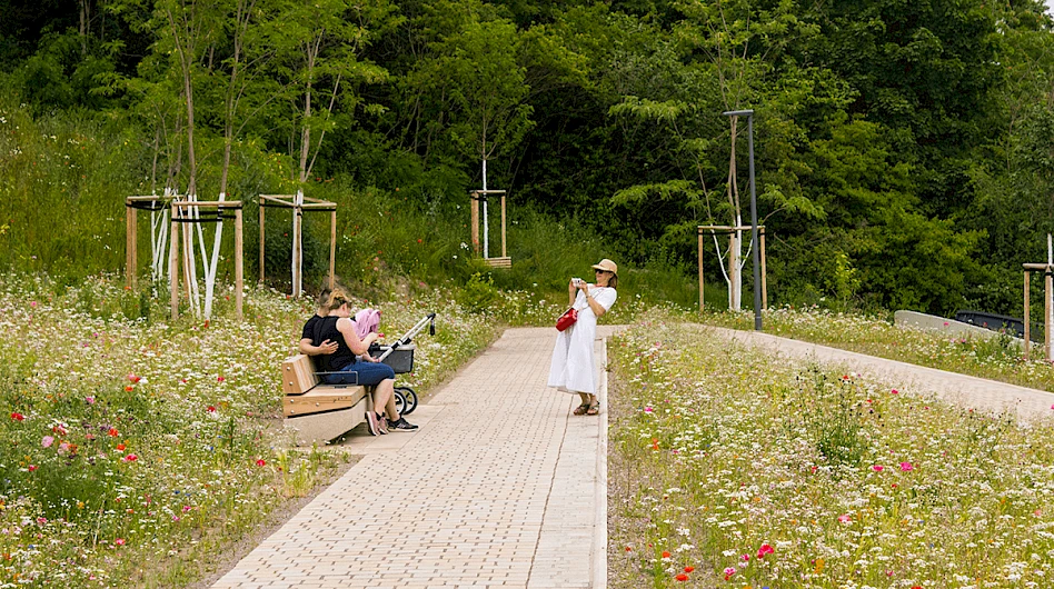 Panoramic Walk Petersberghang, Erfurt 10