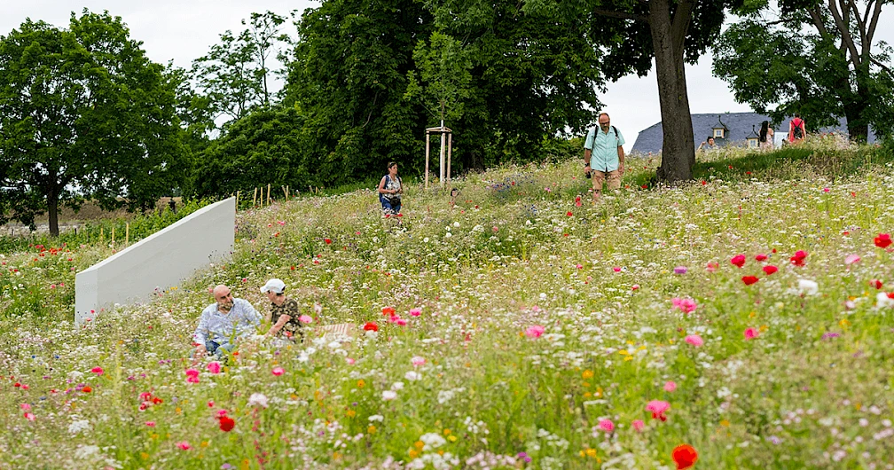 Panoramic Walk Petersberghang, Erfurt 11