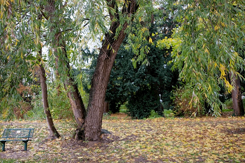 Weser promenade Minden 7