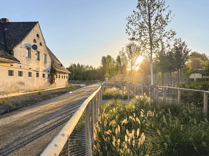 Neuss Citizens' Park 10