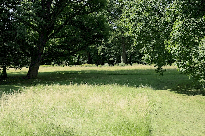 Schlosspark Gedern 4