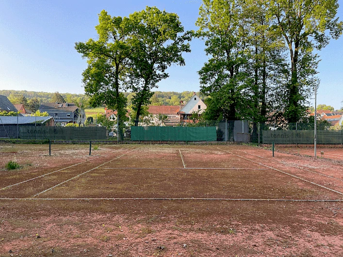 Schlosspark Gedern 5