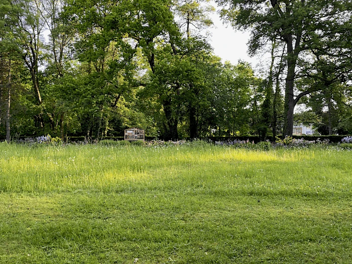 Schlosspark Gedern 6