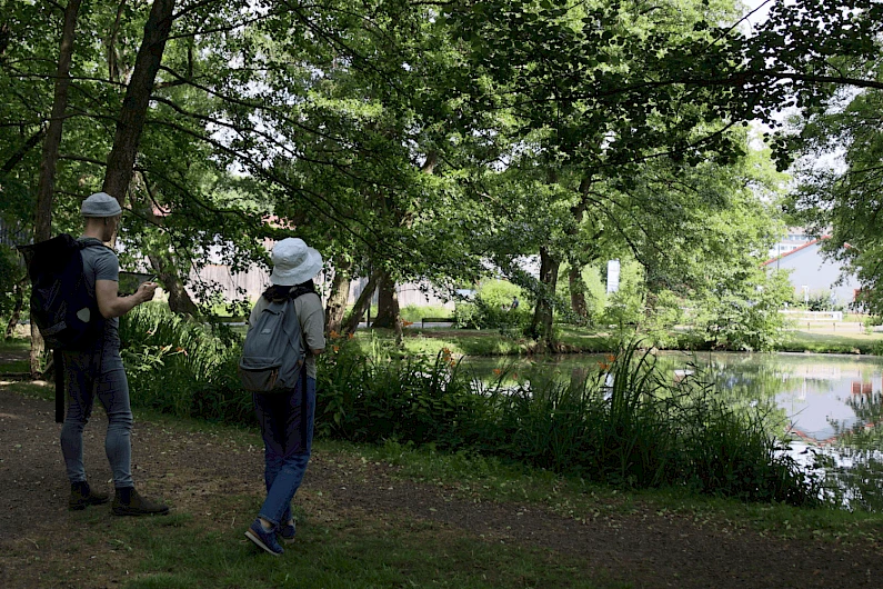 Schlosspark Gedern 7
