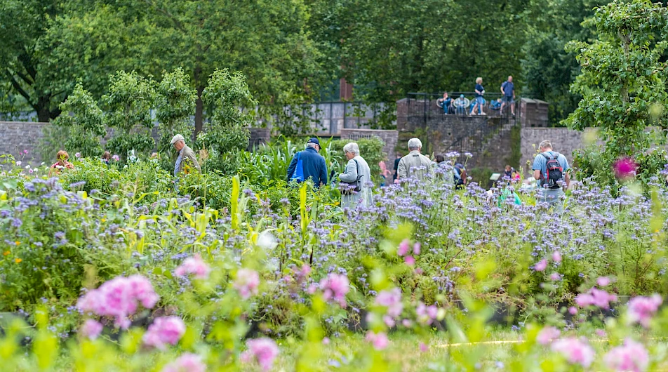 Remtergarten Corvey 6