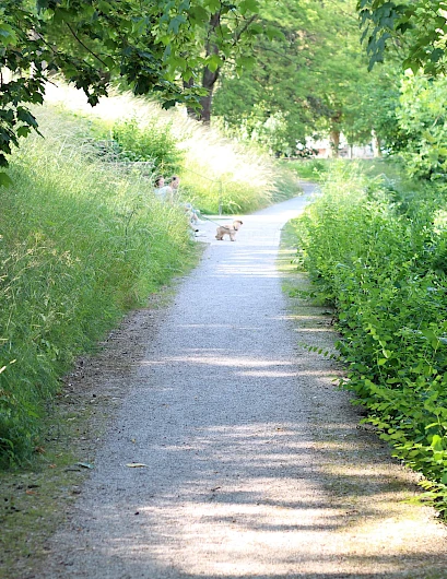 Historic ramparts Höxter 7