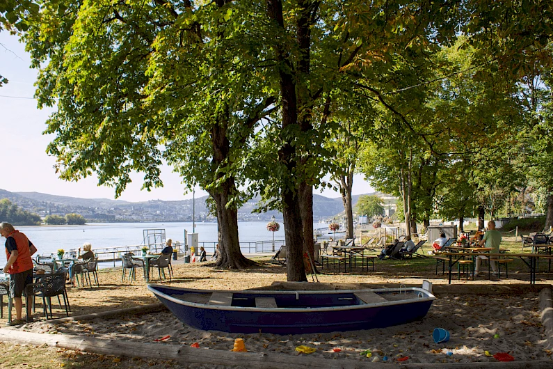 Garden Show 2029, Rüdesheim 7