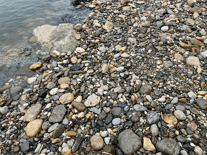 Solitude-Promenade, Basel/Switzerland 12