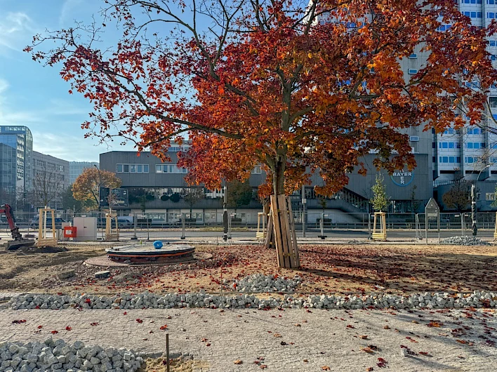 Weddingplatz, Berlin 14
