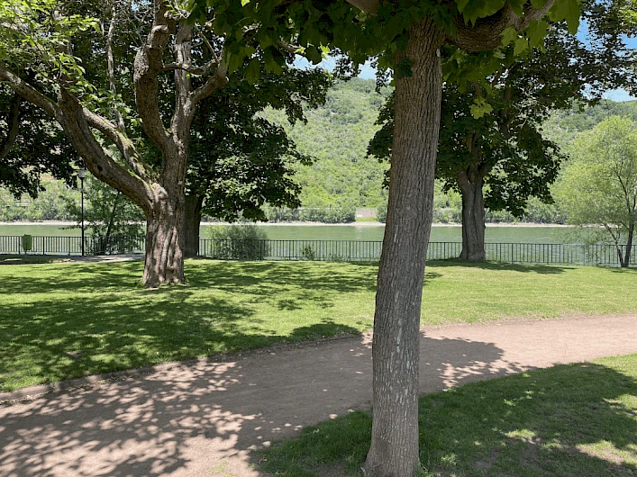 Rheinallee Boppard 7