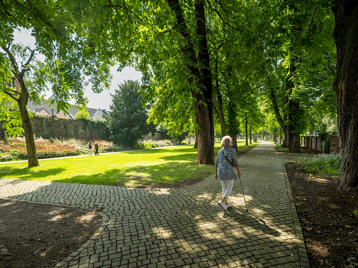 Historische Wallanlagen Höxter 2