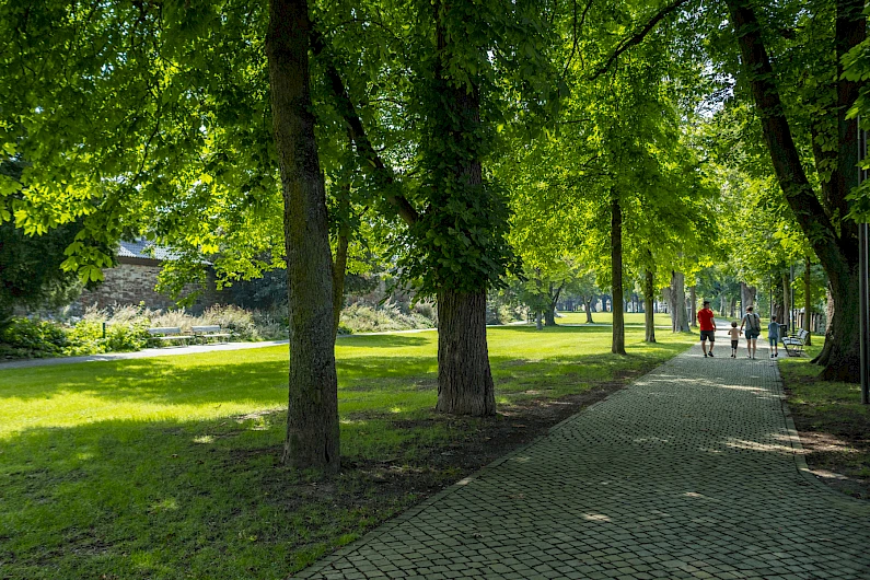 Historische Wallanlagen Höxter 5