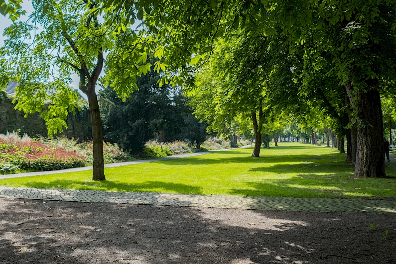 Historische Wallanlagen Höxter 7