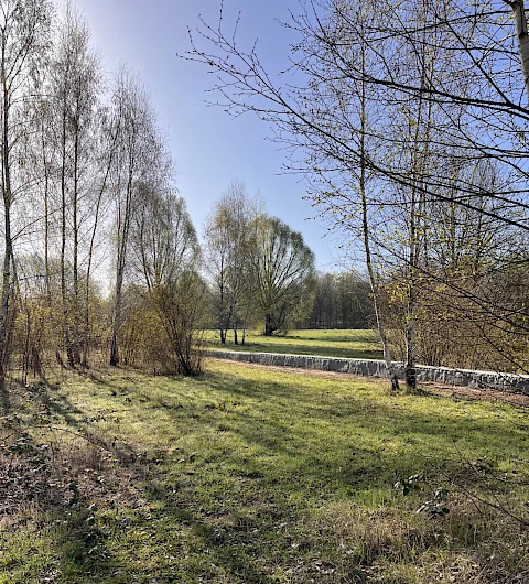 Rheinvorland, Neuss 1