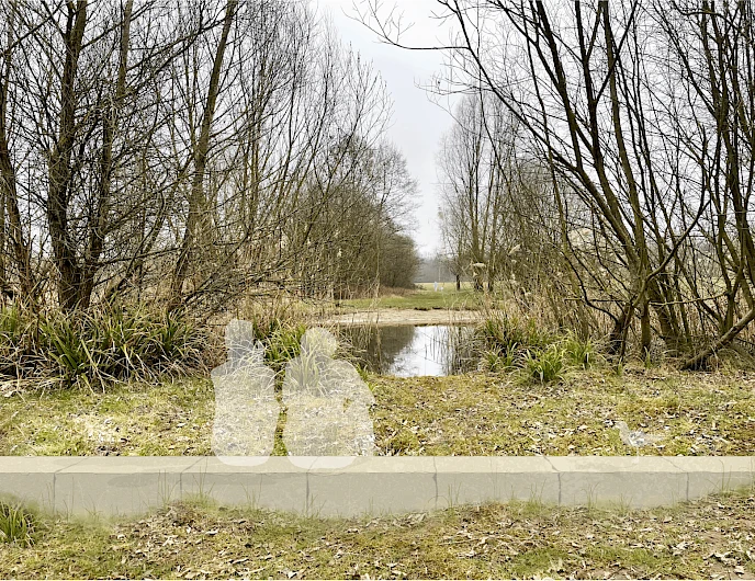 Rheinvorland, Neuss 6