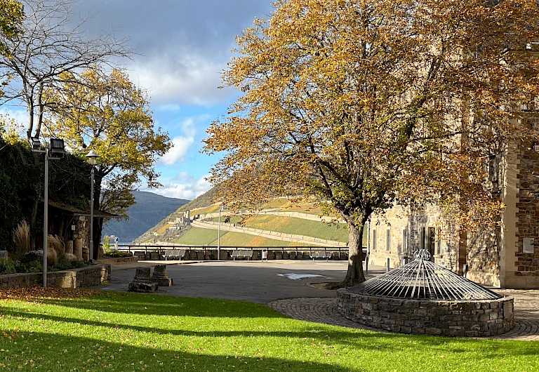 Panoramapark Burg Klopp 3